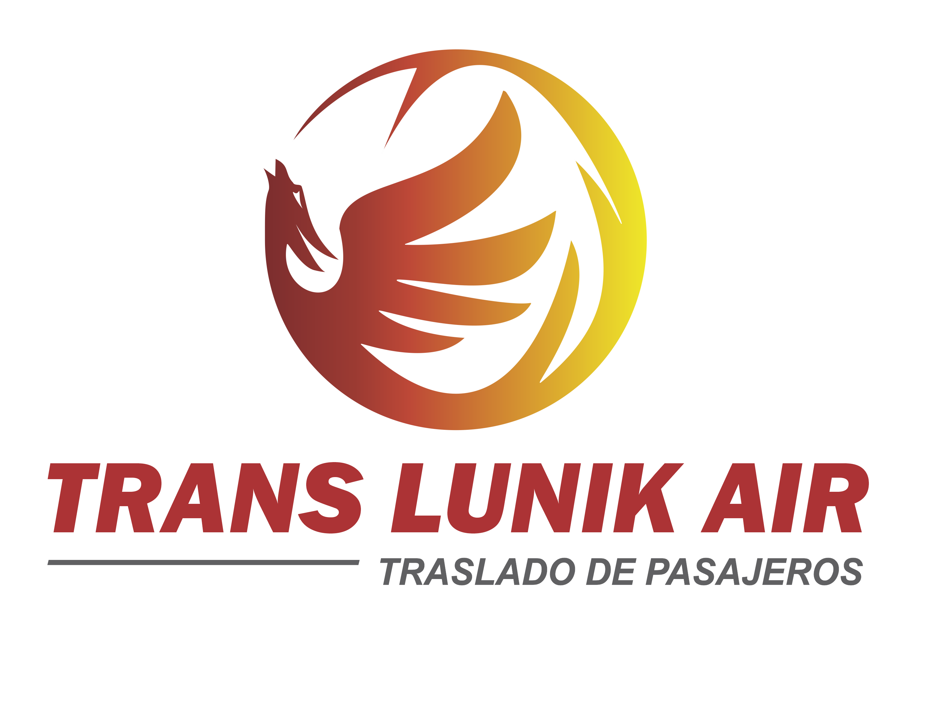 Logo Transparente